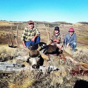 Meet your Posher, Gavin